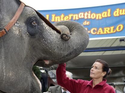 La princesa Estefanía de Mónaco con un elefante del Circo Internacional de Montecarlo, en enero de 2013.