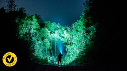 Un hombre en el bosque con una linterna.