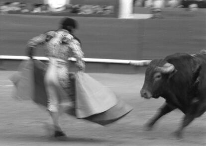 Un torero se prepara a recibir con el capote a dos manos a un toro, durante la Feria de Fallas de Valencia en 1989.