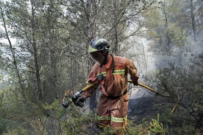 Los cuatro incendios que, desde ayer, afectan a la provincia de Valencia han arrasado ya alrededor de 2.800 hectáreas y han obligado a desalojar varias urbanizaciones y un hospital en la comarca de La Ribera Alta y un colegio próximo a Sagunto.