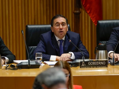 MADRID, 29/01/2024.- El ministro de Asuntos Exteriores, José Manuel Albares (c) comparece en la Comisión de Asuntos Exteriores este lunes en el Congreso. EFE/ Zipi
