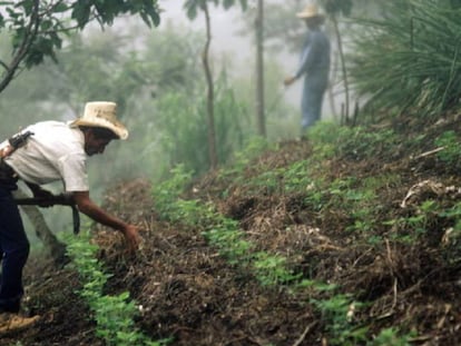 Un agricultor trabaja la tierra en Honduras.