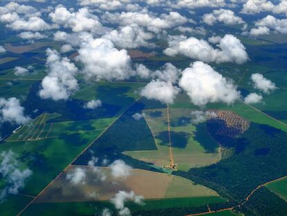 Sinop, selva deforestada, prosperidad y monocultivos