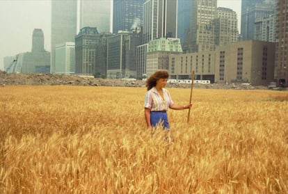 Imágenes de la pieza de land art 'Wheatfield. A Confrontation'.