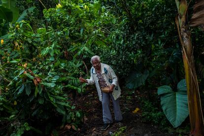 Betsabeth Alvarez, un campesino afrocolombiano de 98 años, en una granja de cacao