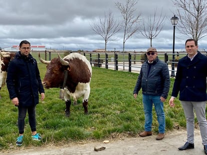 La familia Guijarro, junto a los bueyes.