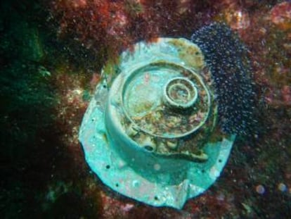 Remains of the U966 near the coast of Estaca de Bares.