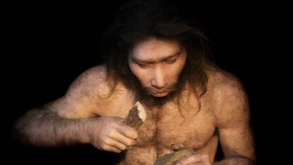 Reconstrucción de un 'Homo neanderthalensis'.