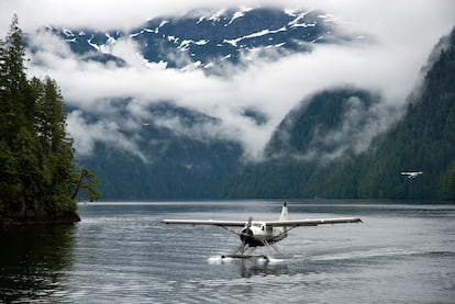 Los fiordos brumosos de Alaska (EE UU).  El Monumento Nacional de los Fiordos Brumosos (Misty Fiords National Monument) es una de las zonas más espectaculares de la costa del sur de Alaska: un mosaico natural de acantilados marinos y paredes de roca que se alzan a más de 900 metros del océano. Osos pardos y negros, cabras monteses, ciervos de Sitka, águilas calvas y multitud de mamíferos marinos habitan este lluvioso lugar. El mejor momento para visitarlo es cuando las paredes de granito y las cascadas están enteladas de niebla y rocío. Las zonas más pintorescas de esta reserva ―Walker Cove, la bahía de Rudyerd y Punchbowl Cove― son accesibles por el canal de Behm, el largo brazo que separa la isla de Revillagigedo de tierra firme.