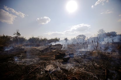 Zona devastada pelos incêndios em Brasília. Os incêndios florestais são comuns na estação seca, mas também são provocados deliberadamente por agricultores que queimam ilegalmente terras para a criação de gado.