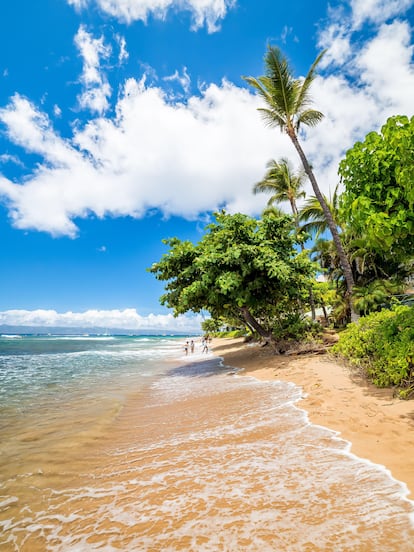 Playa de Ka’anapali (Lahaina, Maui, Hawái). El año pasado se quedó a las puertas del top 3 (concretamente, en el número 4). Y este año ha bajado hasta el puesto 22. Pero sus suaves olas, su arena blanca y sus aguas azules no desmerecen una visita. Aquí también se puede bucear y visitar el mercado de artesanía local que se encuentra justo al lado. El consejo de los usuarios de TripAdvisor: quedarse hasta el atardecer y estar atento para ver ballenas. 