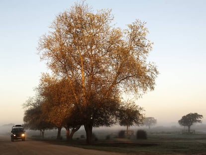 Amanecer en el parque nacional de Doñana (Huelva).