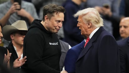 Elon Musk y Donald Trump en un combate de lucha libre el pasado 22 de marzo.
