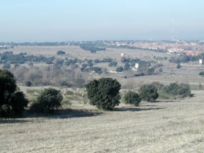 Imagen de uno de los montes preservados a los que afectar&iacute;a la urbanizaci&oacute;n.