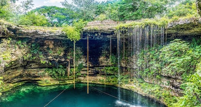 El cenote Saamal, en la península de Yucatán.