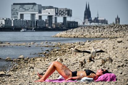 Una mujer toma el sol en la orilla del Rin en Colonia, Alemania, este martes. 