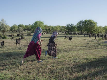 La vida itinerante de los yörüks de Turquía