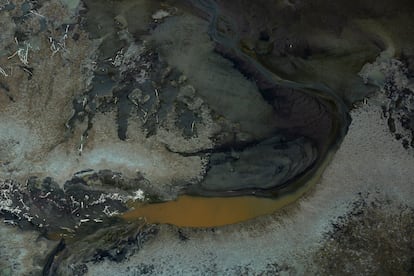 En el delta del río Amazonas, las marejadas hacen posible retratar paisajes abstractos que mezclan lagos con zonas secas.