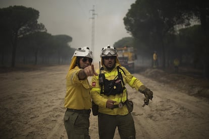 Miembros del Infoca señalan una de las zonas del incendio forestal.