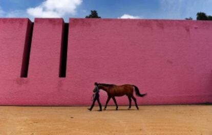 Una vecina pasea su caballo en la Cuadra San Cristóbal.