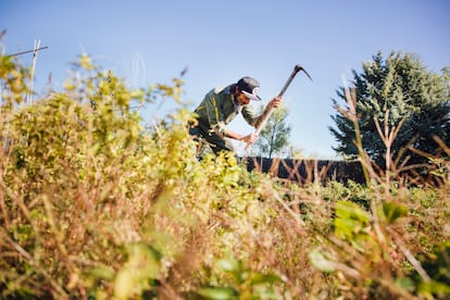 El músico trabaja el huerto de su casa de campo en España.