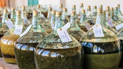 hierbas de la variante de vermut Padró.