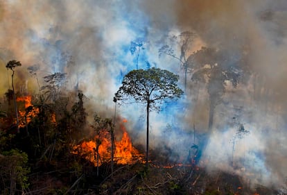 Um incêndio ilegal em uma reserva ambiental da Amazônia, em agosto.