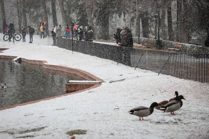 El parque del Retiro de Madrid cubierto por una fina capa de nieve, este jueves.