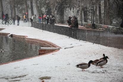 El parque del Retiro de Madrid cubierto por una fina capa de nieve, este jueves.