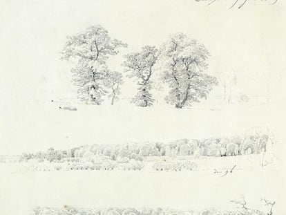 Friedrich intenta captar en sus apuntes la esencia de la naturaleza. Son dibujos apresurados, pero que se afanan en recoger al máximo los detalles. En sus dibujos no faltan la fecha de sus apuntes Caspar David Friedrich. (Estudios de árboles, 1809. Kunsthalle Bremen).