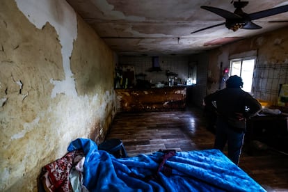 Mujer encerrada perros Arganda