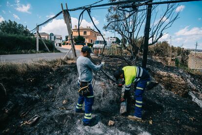 Dos operarios reparan el tendido eléctrico, en Bejís.