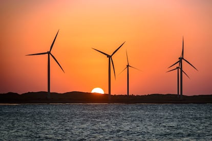  Puesta de sol detrás de un parque eólico en Brasil, el 1 de julio de 2024.