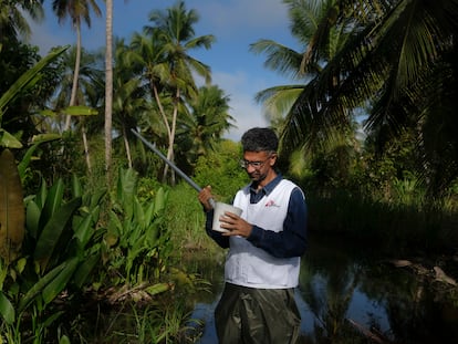 Melfran Herrera, biólogo de MSF, busca larvas de mosquitos Anopheles, en un pantano del estado Sucre, al noreste de Venezuela.