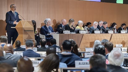 Tedros Adhanom Ghebreyesus, director general de la OMS, pronuncia su discurso durante la inauguración de la 78ª Asamblea Mundial de la Salud en Ginebra el 19 de mayo de 2025.