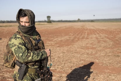 Un agente de la Senad durante otra operación en Canindeyú, cerca de Brasil, en marzo del 2020. El Gobierno estima que en Paraguay hay unas 7.000 hectáreas de cultivos ilegales de marihuana, pero legisladores y especialistas calculan que puede haber el triple. Las autoridades dicen que cada año destruyen una media de 1.400 hectáreas de cannabis. 