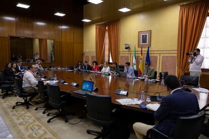 Una de las comparecencias en la Comisión de Fomento del Parlamento andaluz sobre la ley de ampliación de regadíos en Doñana.