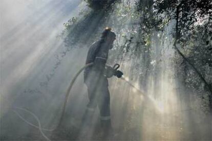 Un bombero trabaja en la extinción del fuego del monte San Cristóbal.