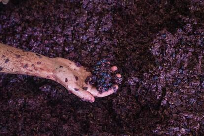 La mano de Pablo Bianchi remueve un mosto con el que elabora vino de fermentación natural.