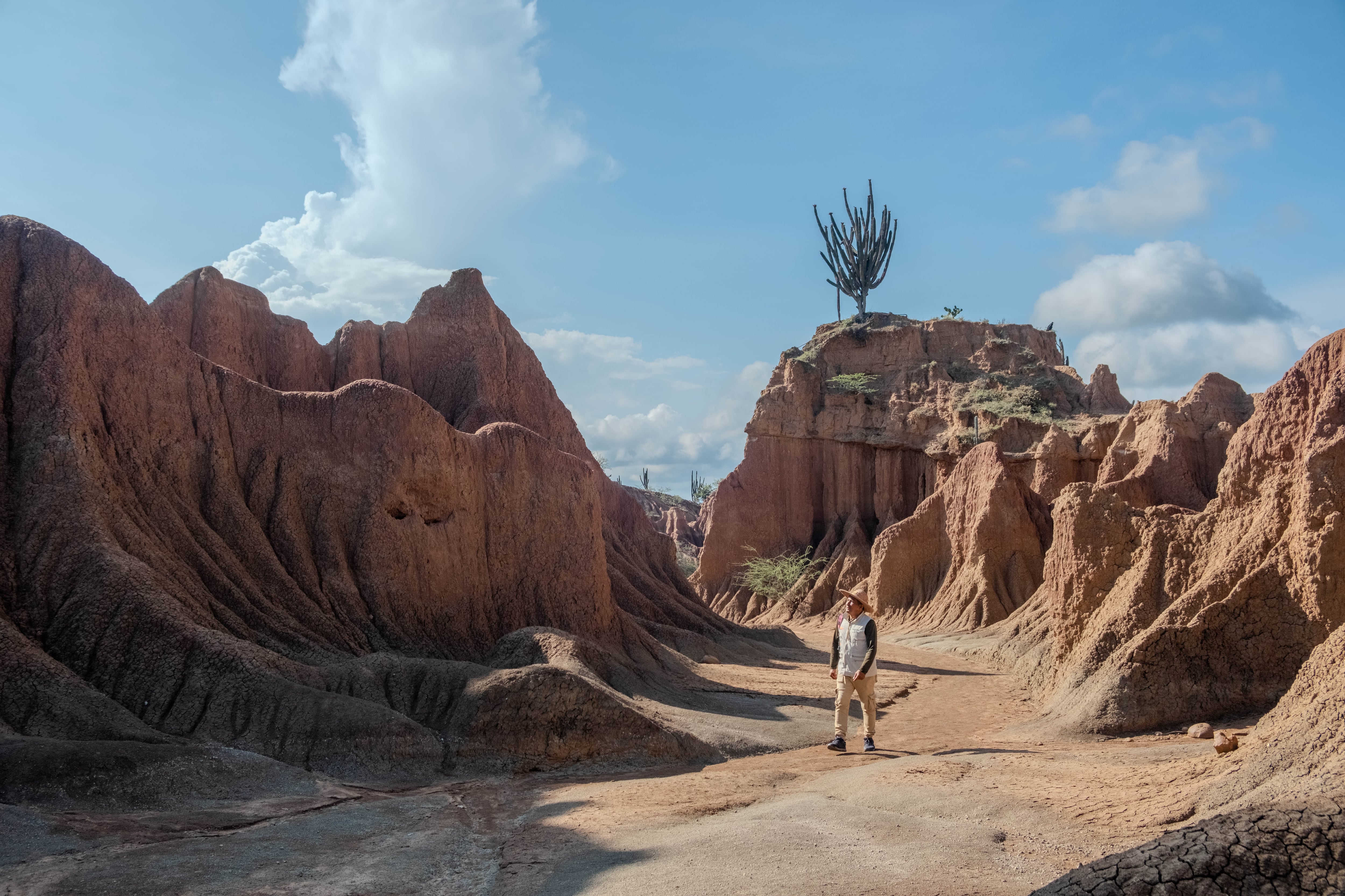 Dos museos comunitarios y campesinos del desierto de la Tatacoa llegan a la cumbre de la ciencia global