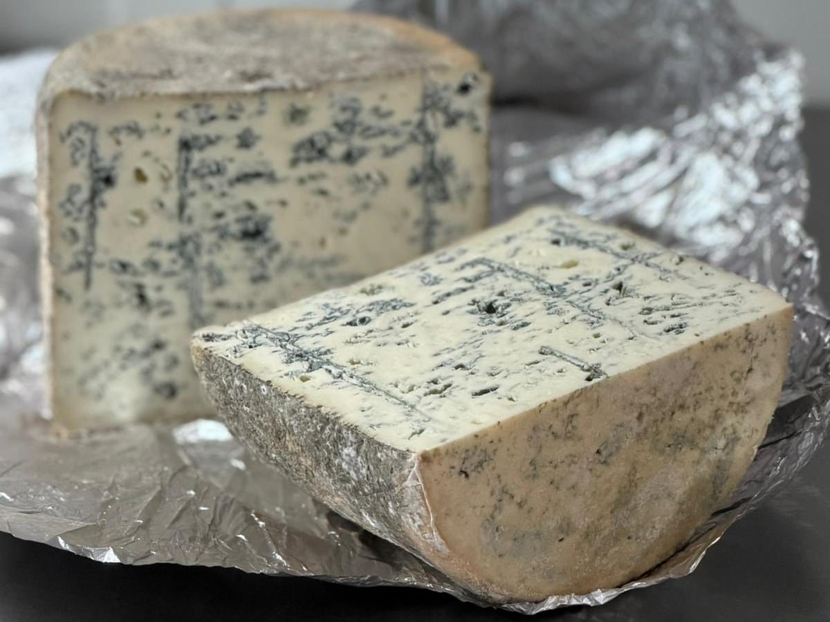 Rubén Valbuena, quesero: “Creemos haber elaborado el primer queso azul de leche de burra”