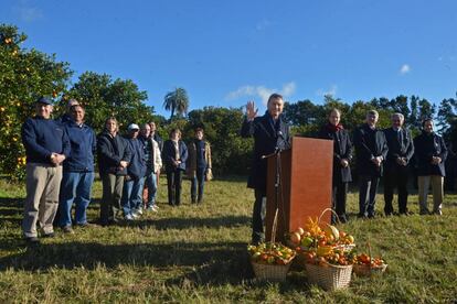 Mauricio Macri, en una plantaci&oacute;n de c&iacute;tricos en Concordia.