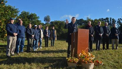 Mauricio Macri, em uma plantação de cítricos em Concordia.