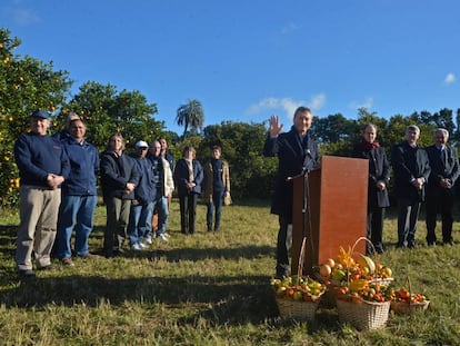 Mauricio Macri, en una plantaci&oacute;n de c&iacute;tricos en Concordia.