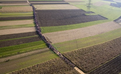 Uma foto aérea na qual se observa uma fila de refugiados procedentes da Croácia, que caminham através dos campos em Rigonce, Eslovênia. Milhares de pessoas tentavam chegar ao centro e ao norte da Europa através da rota dos Bálcãs.