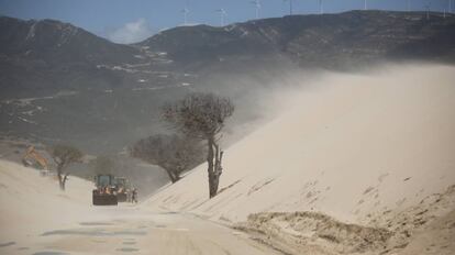 Trabajos en la carretera que une Tarifa y Valdevaqueros, para evitar que la duna engulla la carretera.