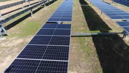 Imagen de la planta fotovoltaica Francisco Pizarro de Iberdrola en Extremadura.