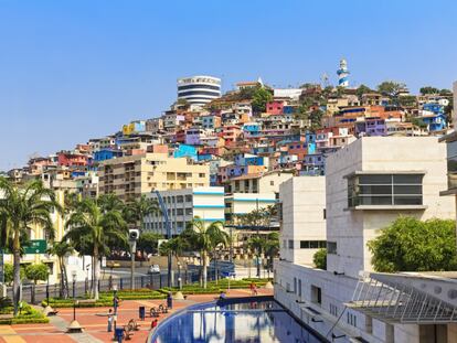 Vista de Guayaquil, la ciudad más grande de Ecuador cuyo puerto es el primer punto de acceso para los cruceros a las Galápagos.