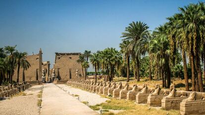 Luxor.