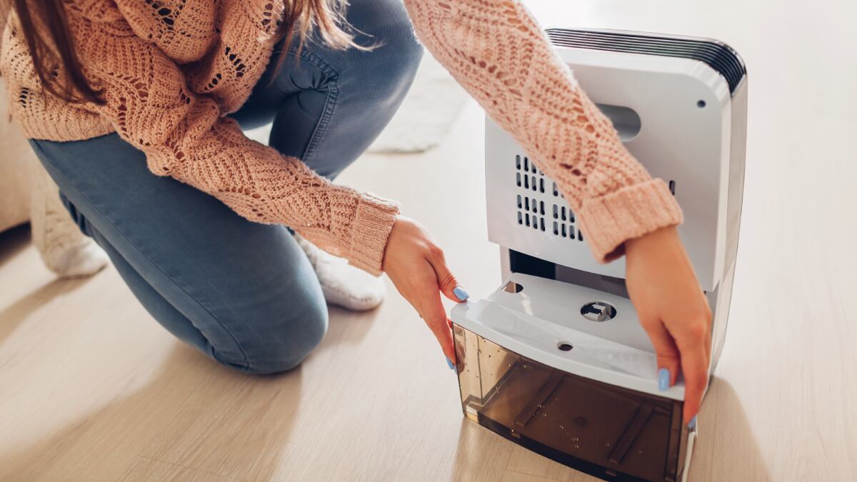 Estos son los beneficios de tener un deshumidificador en casa